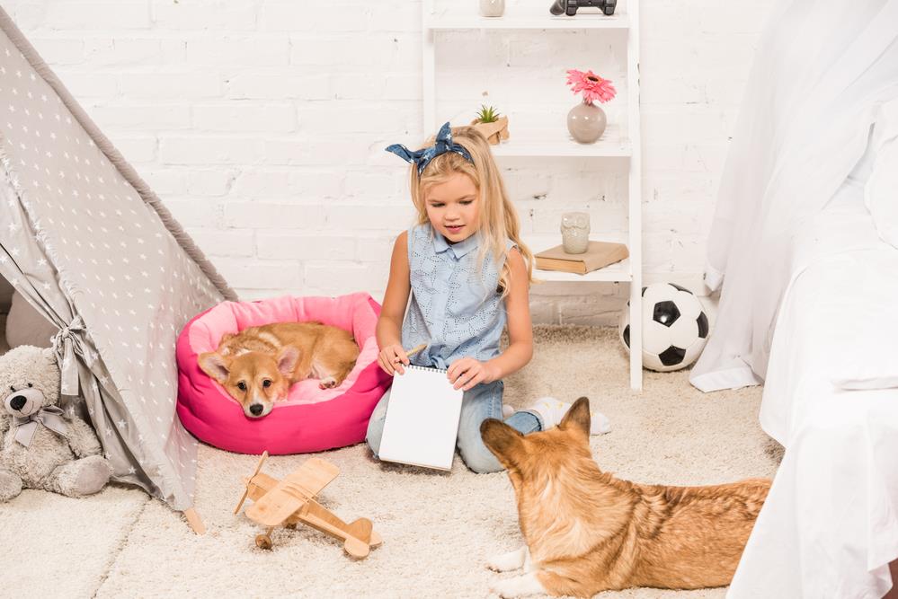 Pets in Apartments: A Survival Guide