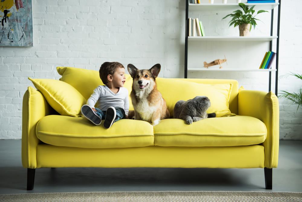 How to Help Your Pets Live Longer, Happier Lives