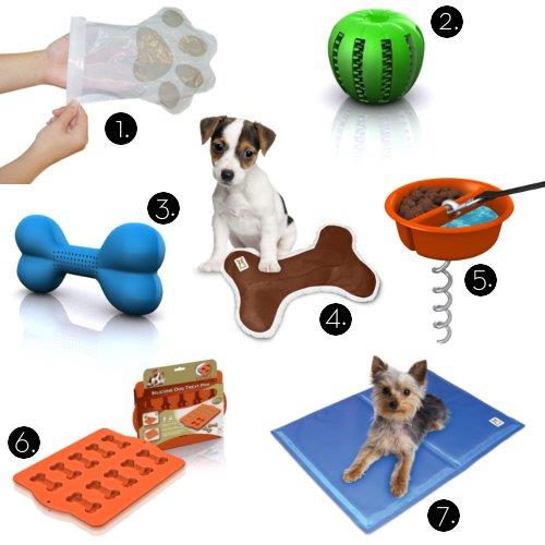 Pets and Technology: How Gadgets Can Improve Your Pet’s Life