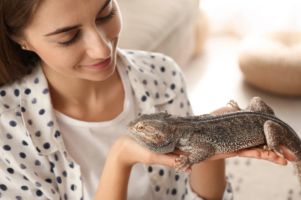 Guide to Exotic Pets: What to Consider Before Adoption