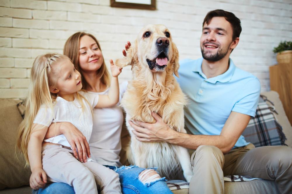 The Impact of Pets on Your Social Life