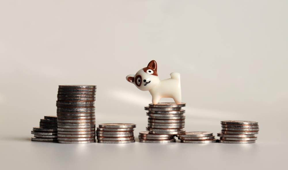 Understanding Pet Care Costs in Australia: A Comprehensive Guide