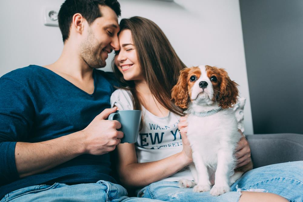 How to Introduce Your Pet to Your New Partner