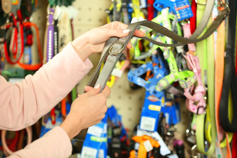 Pet Accessories: Useful or Unnecessary?