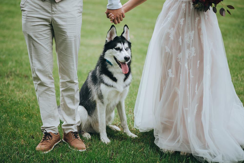 How to Include Pets in Your Wedding: A Guide for Australian Couples