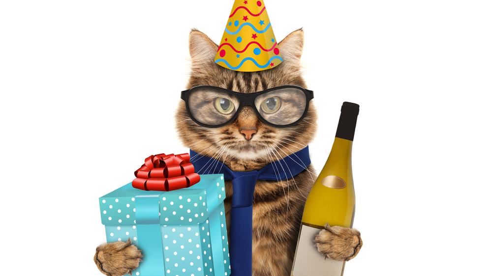 How to Throw the Perfect Pet Birthday Party in Australia