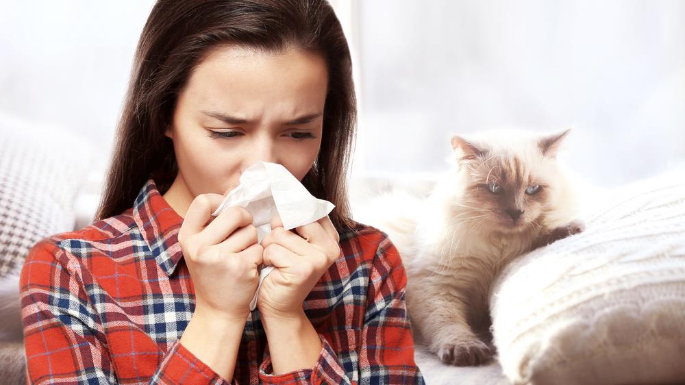 How to Manage Cat Allergies: Tips and Solutions for a Comfortable Life