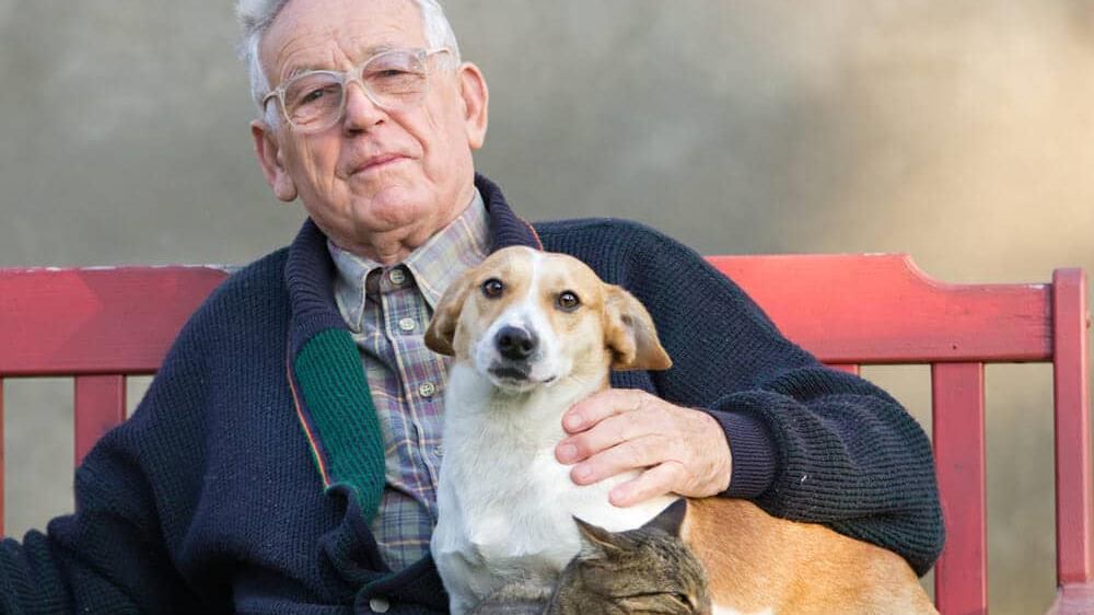 The Psychological Impact of Pets on Seniors