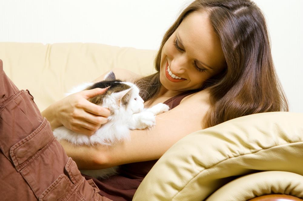 Understanding Pets' Mental Health: A Comprehensive Guide for Australian Pet Owners