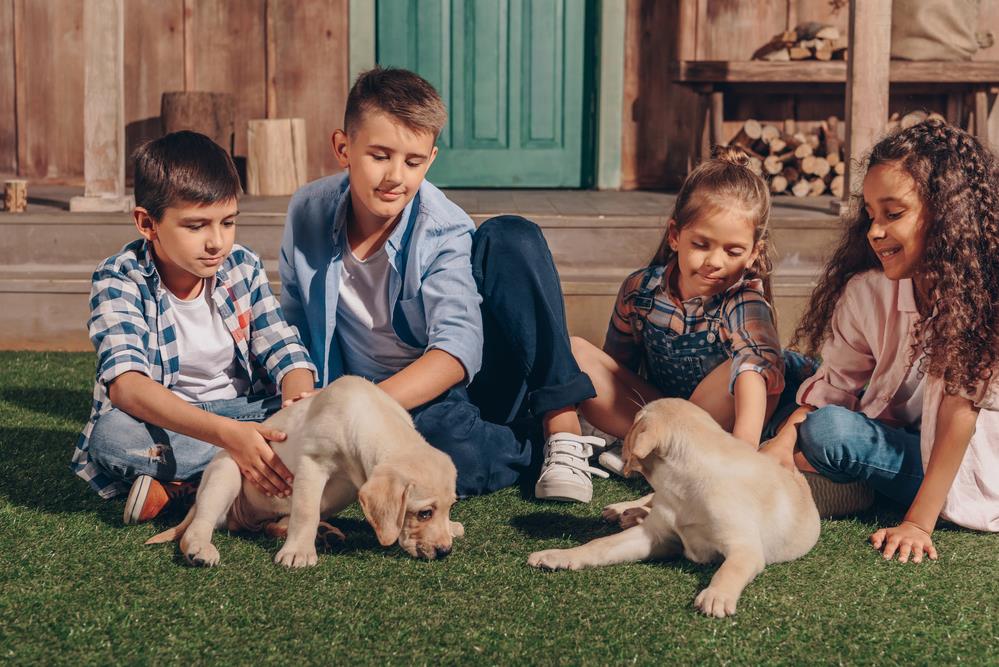 Pets and Children: Building a Safe Relationship