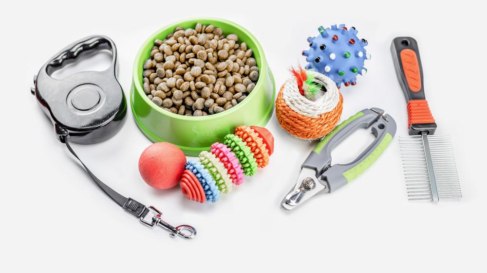 The Essential Starter Kit: What Every New Pet Owner Needs