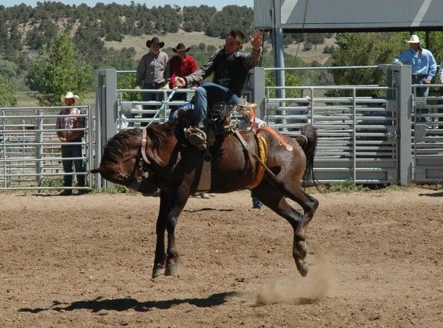 Bronc Riding in Australia: A Thrilling Tradition