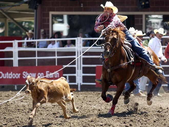 Calf Roping