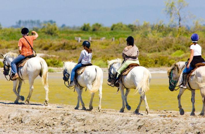 Camargue Equitation