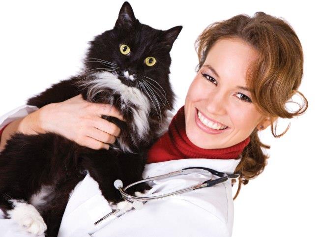 Cat Health