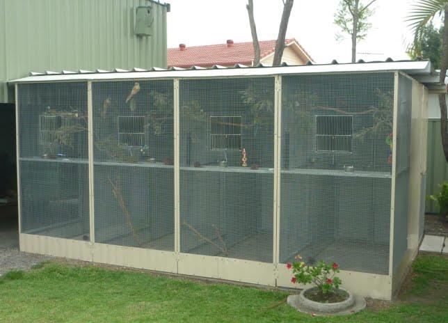 Choosing an Aviary
