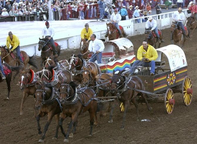 Chuckwagon Racing