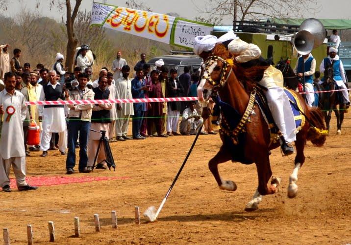 Equestrian Tent Pegging
