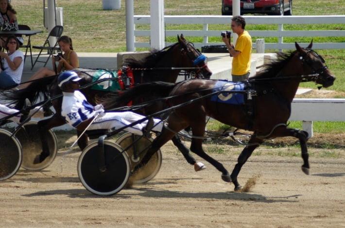 Harness Racing in Australia: A Comprehensive Guide