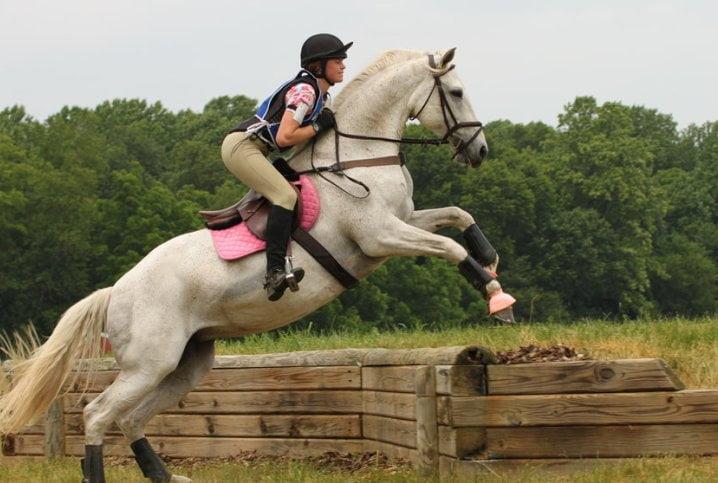 The Ultimate Guide to Horse Eventing: Everything You Need to Know