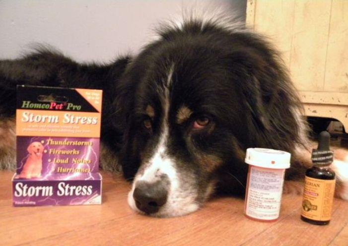 Love Your Pets?... then why use chemicals on them?