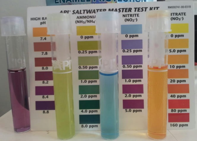 Fish Tank Filtering - Ph, NItrites and Nitrates