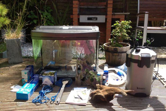 So you want to buy some fishes and set up an aquarium