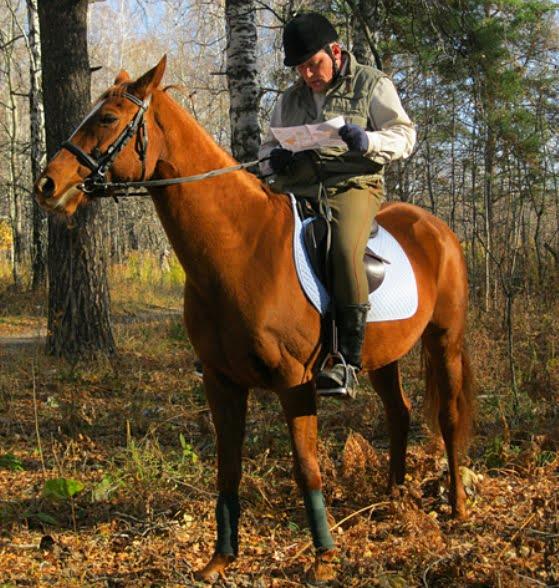 Mounted Orienteering