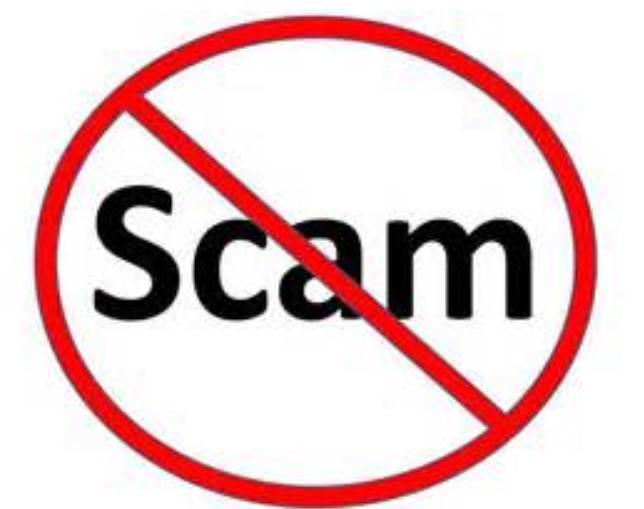 Pet Classifieds Information - Beware of Scams