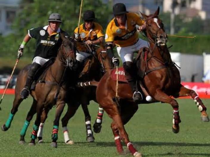 Polo