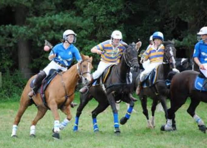 Polocrosse: The Unique Sport Combining Polo and Lacrosse