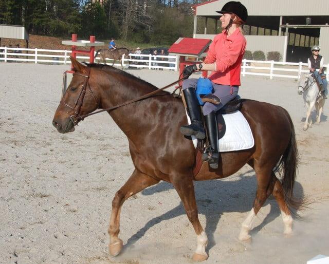 Sidesaddle Riding: A Timeless Equestrian Tradition