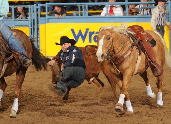 Steer Wrestling