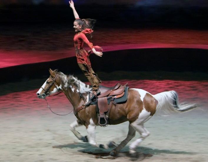 The Thrill of Stunt Riding Horses: A Guide to Equestrian Acrobatics