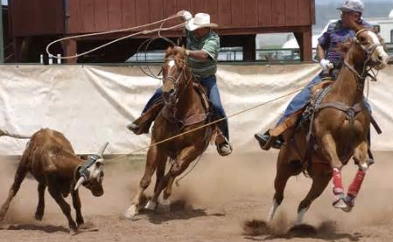 The Ultimate Guide to Team Roping: Techniques, History, and Tips for Success