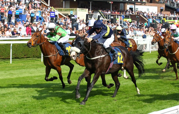 The Fascinating World of Thoroughbred Racing: A Comprehensive Guide