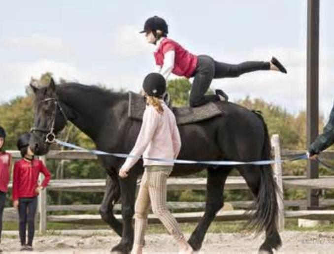 Vaulting