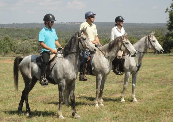 Endurance Riding: A Comprehensive Guide for Australian Riders