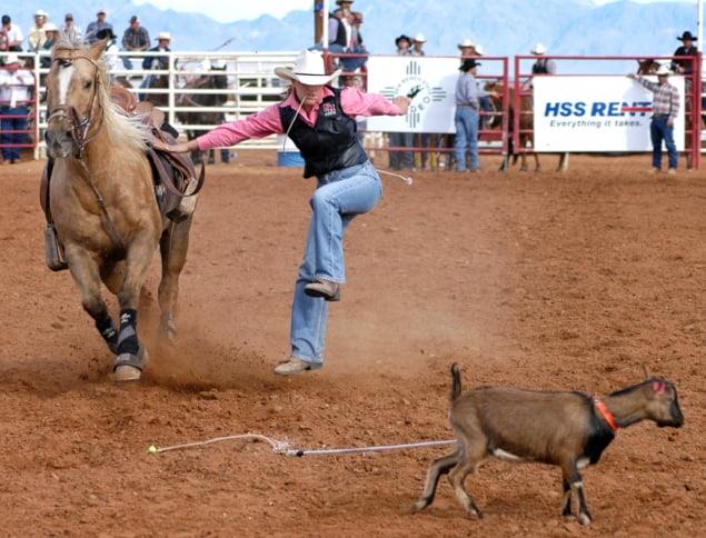 Goat Tying