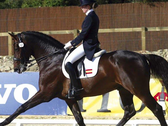 The Majestic Iberian Horse: History, Characteristics, and Care