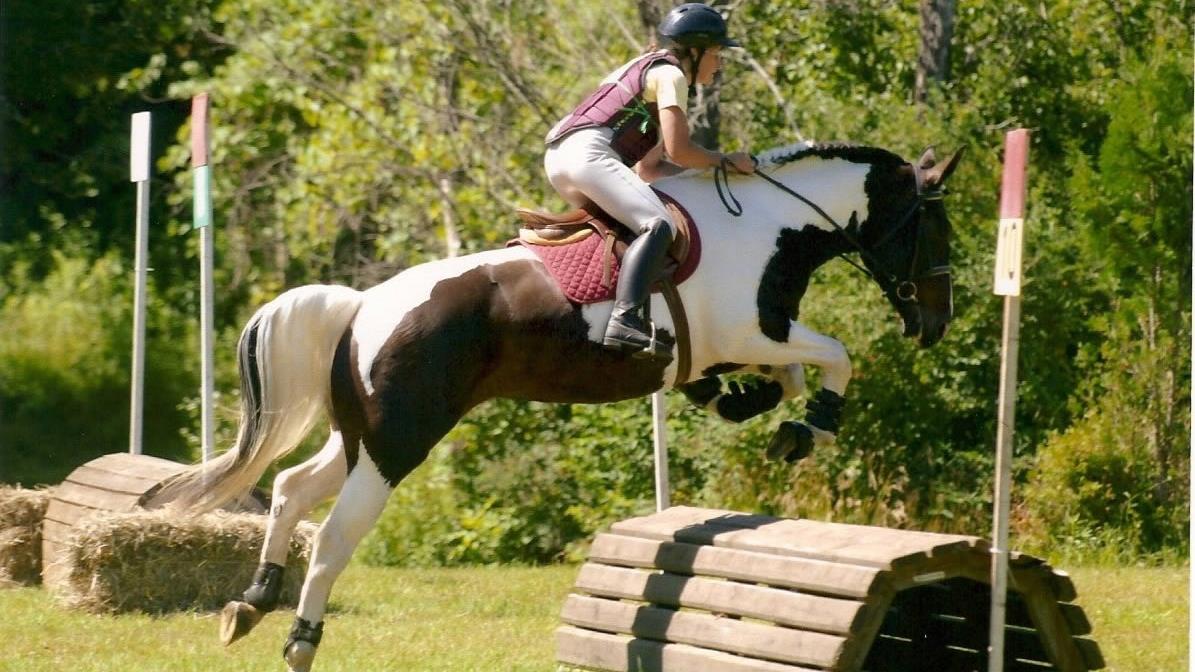 Horse sports - man and beast competing together