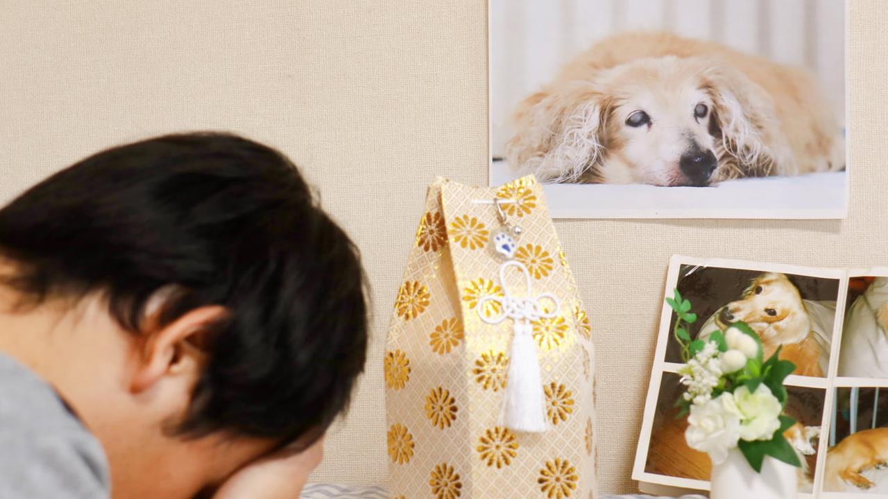 Consoling Someone Who Has Lost A Pet