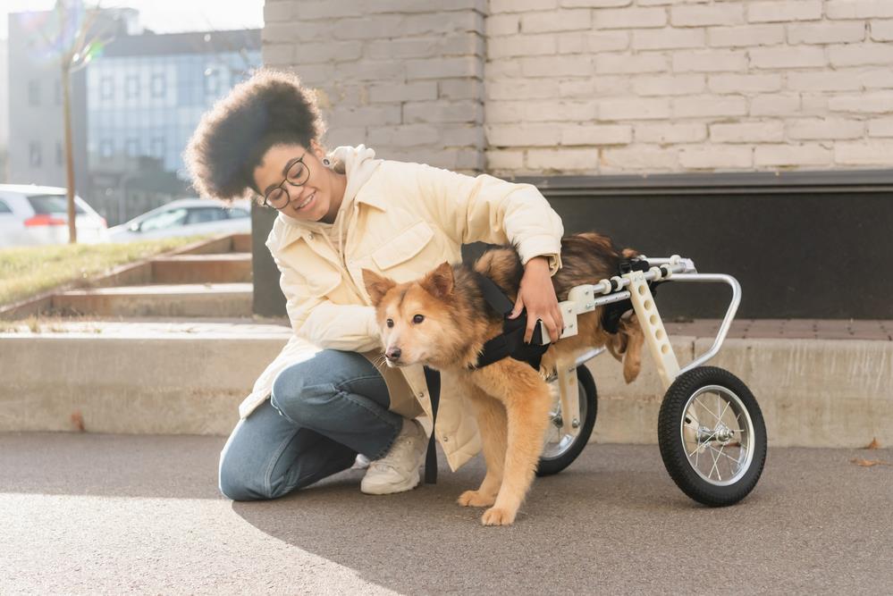 Special Needs Pets: Understanding and Caring for Unique Companions
