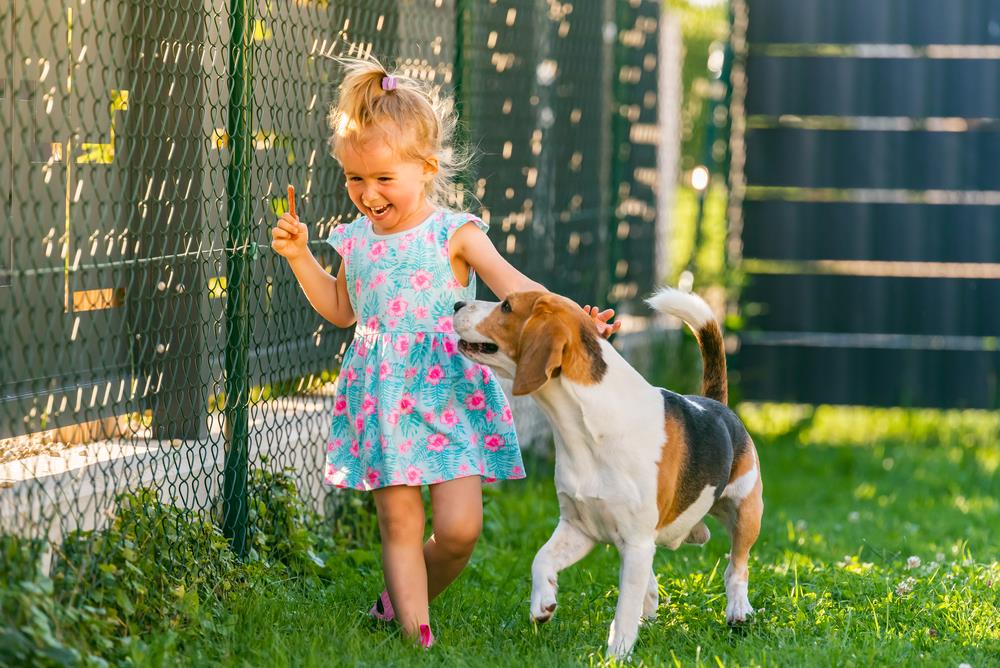 Pet-Proofing Your Garden: A Guide