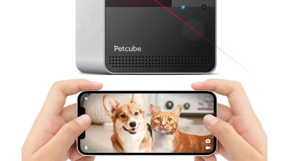 Home Surveillance for Australian Pet Owners