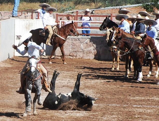 Charreada