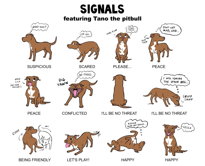 Understanding Dog Body Language: A Guide for Pet Owners