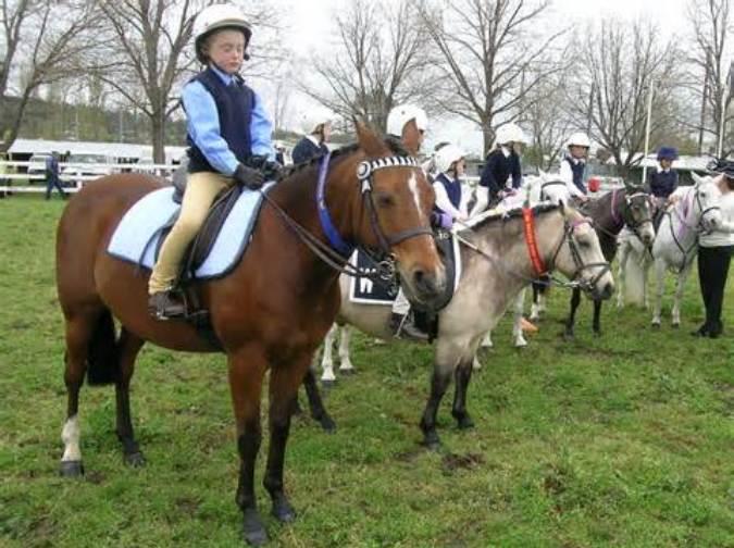Discovering the World of Pony Club: A Guide for Enthusiasts