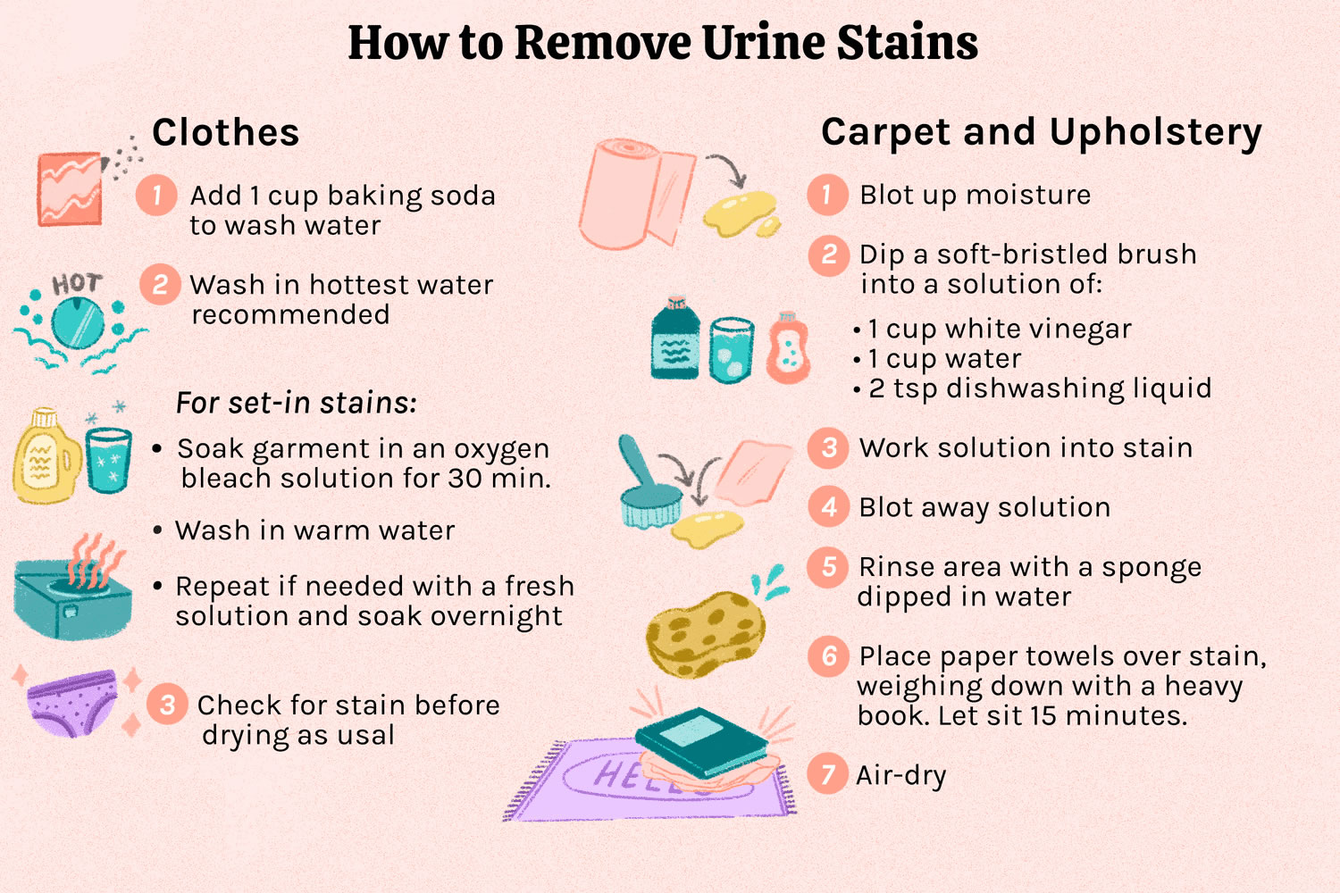 Tips To Get Rid Of The Pet Smell Out Of A Carpet
