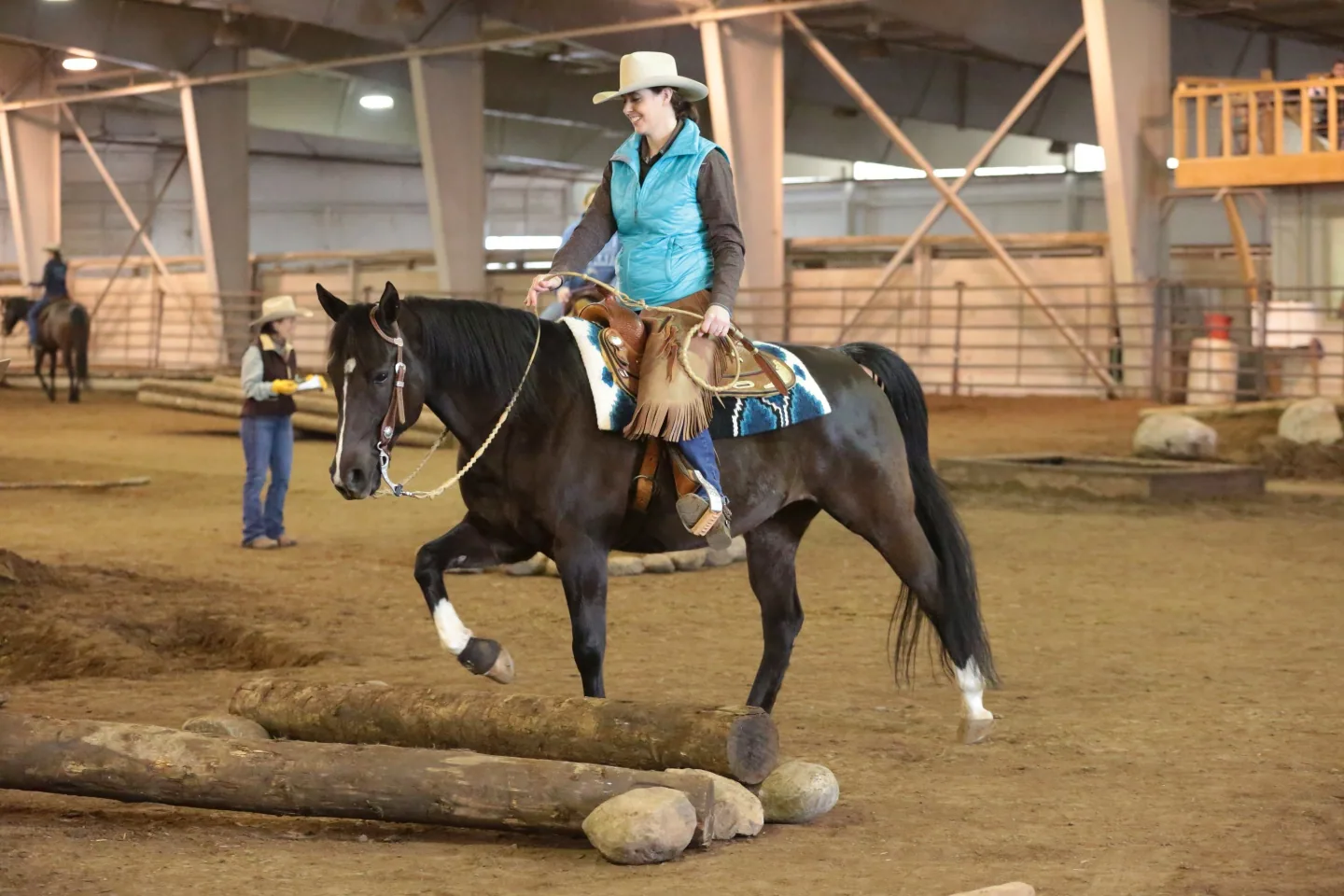 An Arabian horse being led through an obstacle course in a sandy arena.